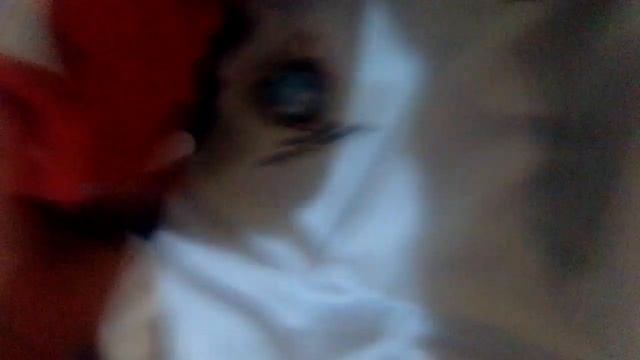 Minha roupa completa de judô ? смотреть онлайн