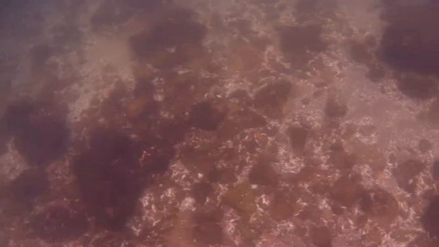 Чёрное море, Одесса аркадия смотреть онлайн