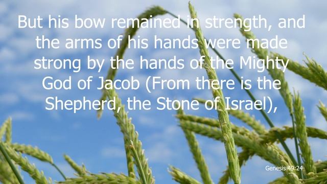 Israel Blessed the Rest of His Sons смотреть онлайн