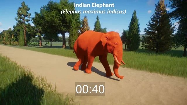 Colored Herbivores Animals Speed Races in Planet Zoo included Giraffe, Black Wildebeest, Hippo & et смотреть онлайн