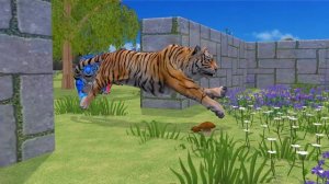 Giant Tiger vs Elephant vs Funny Monkey Escape From Pc Maze Game | Baby Monkey Collects Run Funny