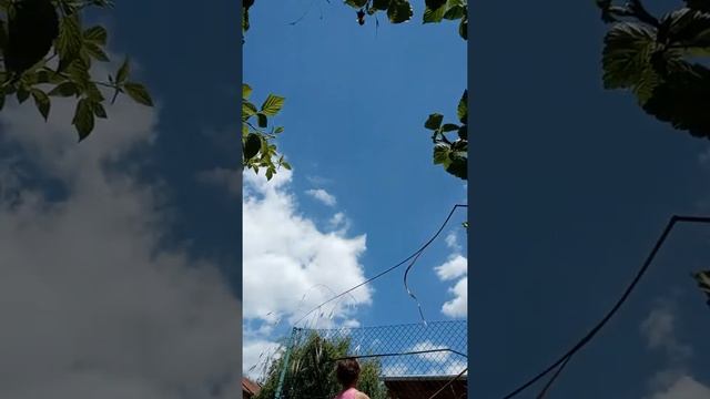 Ovoce a zelenina 1 díl смотреть онлайн