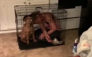 Смешные приколы Февраль 2023 #101