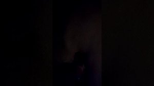 Поэтапное открывание дверей Мерседес Вито 2016 (W447)