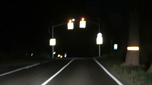 Деревья вдоль дорог смотреть онлайн