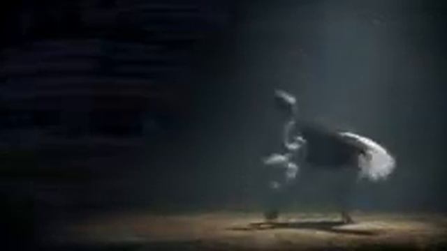 Кумба король сафари