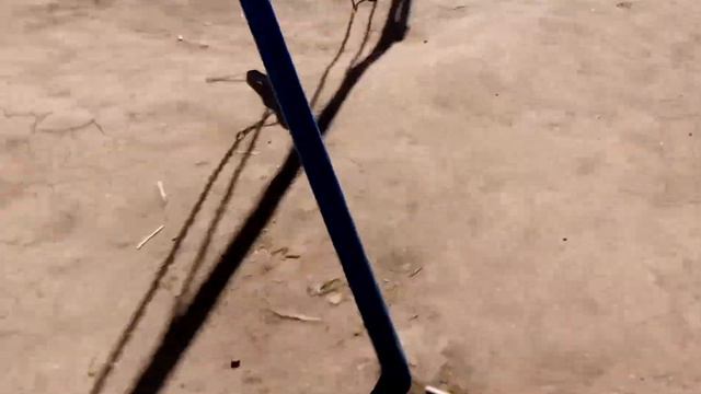 Площадка возле кафе Апельсин смотреть онлайн