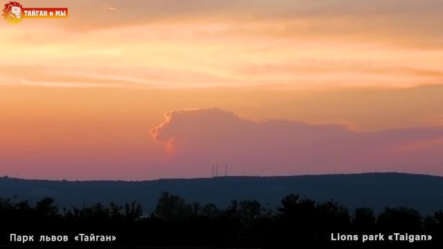 Небесный лев над Тайганом. Sky Lion Over Taigan.