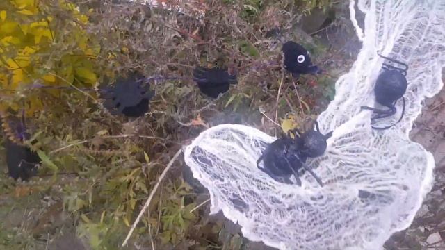 ОСЕННИЕ КРАСКИ ТОРОНТО. ГУЛЯЮ, БОЛТАЮ.ПРЕЛЕСТНО,ПРЕЛЕСТНО!ТИХИЕ УЛОЧКИ, НАСЛАЖДЕНИЕ. ПОЙДЕМ СО МНОЙ смотреть онлайн