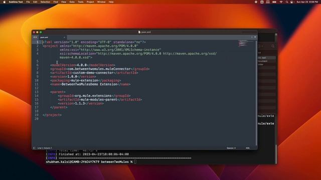 How to build a custom connector with MuleSoft | Mule 4 SDK смотреть онлайн