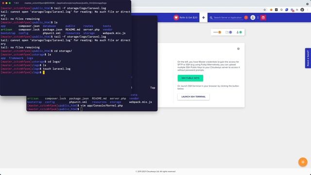 Set up the Laravel Scheduler on Cloudways смотреть онлайн