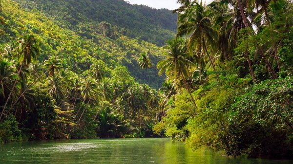 Discovery: Экватор. Битва за свет. Серия 2 (2005)