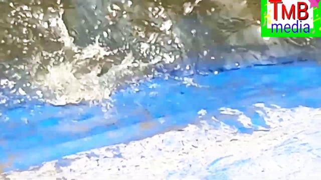 #wow fish #माछा पाँचथर तुम्वेवा गाँउपालिका वडा नं ३ मा प्लास्टिक पाेखरी काे माछा смотреть онлайн