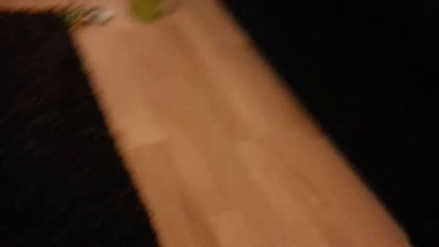 Telepods show for angry birds go смотреть онлайн