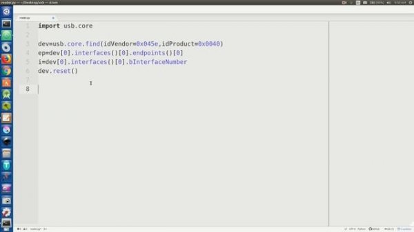 Reading USB in Python