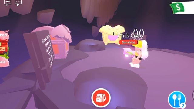 как попасть в новую комнату без Флай пета?\\новая комната адопт ми\\Mirzo Games смотреть онлайн