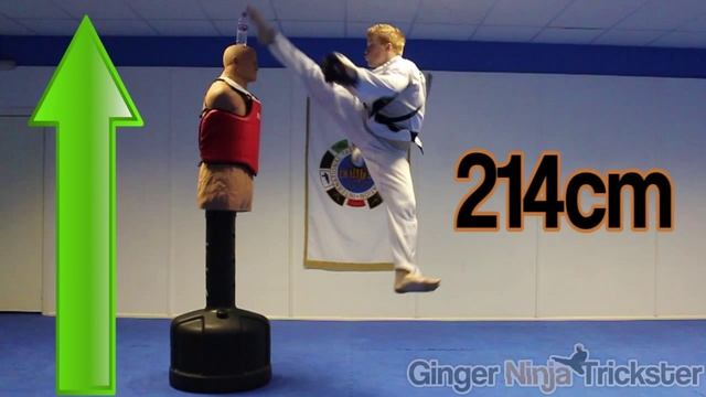 Jump Spin Kicking a Bottle off BOB's Head *214cm* | Taekwondo смотреть онлайн