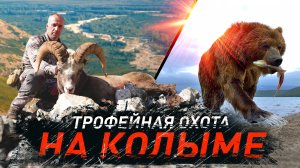 Трофейная охота на Колыме. Колымский баран и медведь #трофейнаяохота