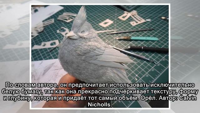 Удивительные объемные скульптуры из бумаги от канадского художника смотреть онлайн