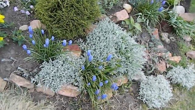 Прогулка по саду в последний день мая Цветущий сад смотреть онлайн