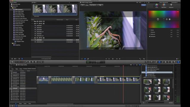 Nikon D600 Image Quality: Photo & VIdeo, RAW-NEF vs JPEG смотреть онлайн