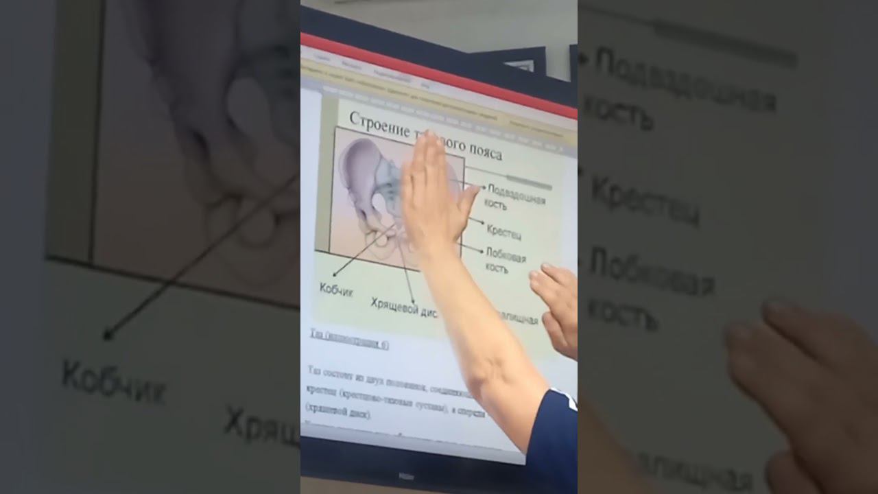 МЯГКИЕ МАНУАЛЬНЫЕ МЕТОДИКИ. ВИДЕО С СЕМИНАРА. смотреть онлайн