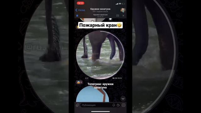 У слона пятая нога есть? смотреть онлайн