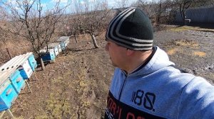 Какие работы с пчелами после облёта я делаю! Не спешу пчеловодить и не зеваю!