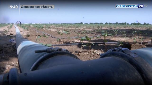 Эффективность водосберегающих технологий в Джизаке смотреть онлайн