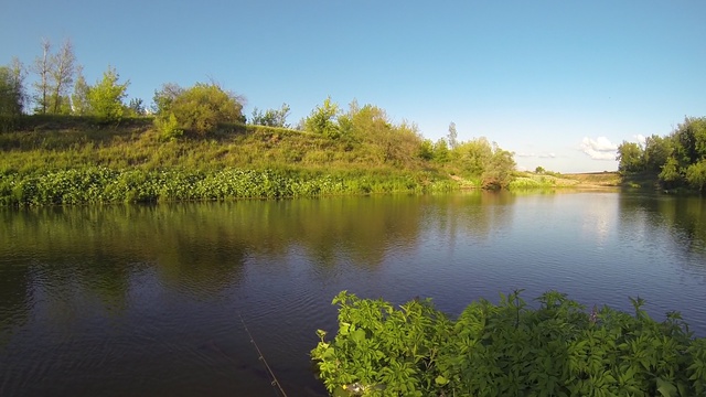 ловля жереха