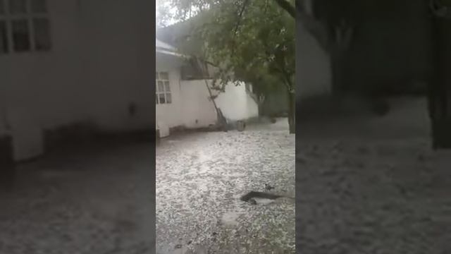 Кыргыз ата сталин смотреть онлайн