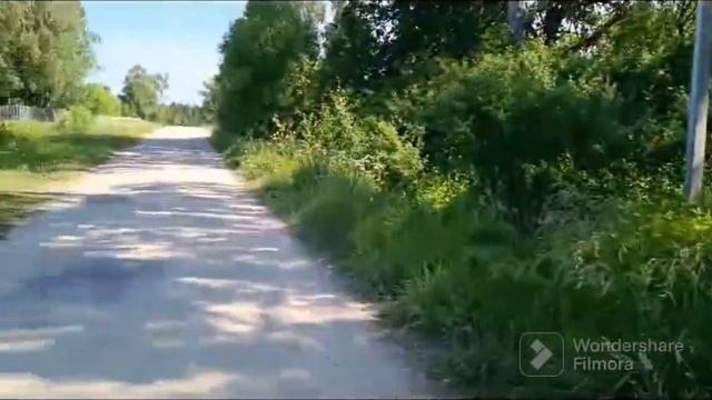AKITOMANIA.Жизнь в деревне. Мифы и реальность.#собака #dog #акитомания #akita #americanakita #video смотреть онлайн