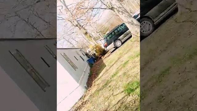 Playing ding dong ditch (lady answers) смотреть онлайн