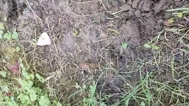 минеральное удобрение борофоска