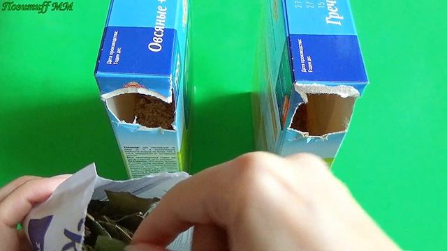 ЗАЧЕМ я кладу Лавровый Лист в Муку, Крупу и в Горшки с цветами. Крутейший лайфхак для хозяек!