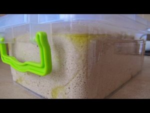 Тесто "Французское" или  "Хрущевское" тесто.