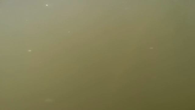 From Ironclad to Artifact: The Journey of the CSS Georgia смотреть онлайн