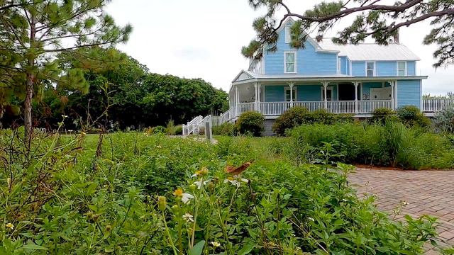 Explorers' Tours: Robinson Preserve Pollinator Garden смотреть онлайн