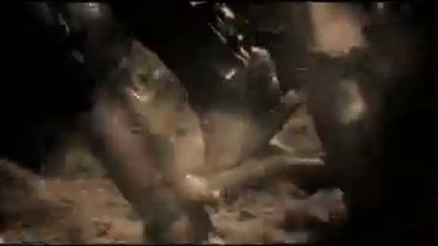 300 -THIS IS WHERE THEY DIE смотреть онлайн
