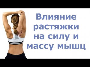 Влияние растяжки на силу и массу мышц