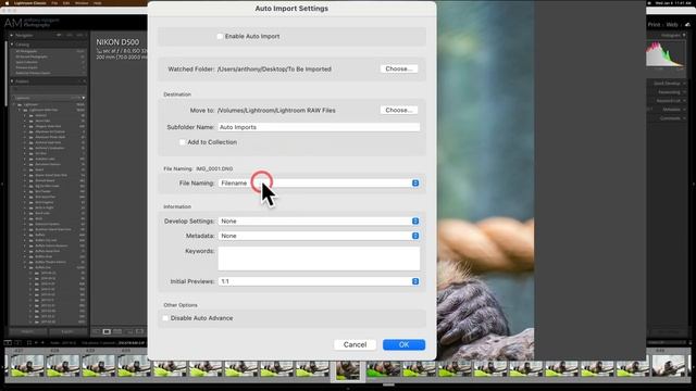 Is There a BETTER WAY to Import Photos Into LIGHTROOM? смотреть онлайн