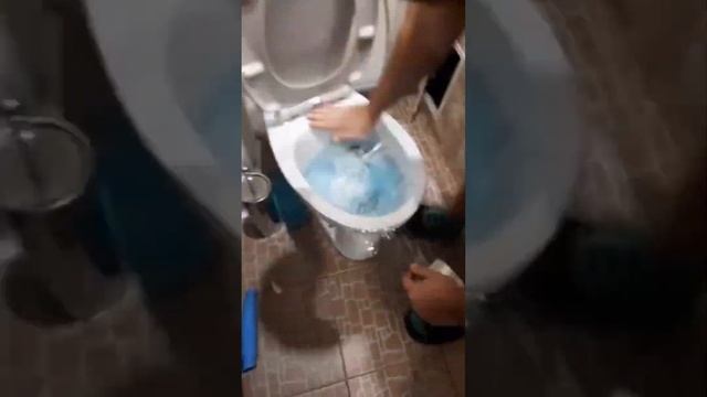 Что делать, если у вас забился унитаз #лайфхак #унитаз #lifehacks #lifehack смотреть онлайн