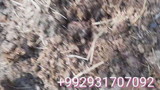 Бизнес дар шаройти хона бо 300$долар бади 3 мох 10000 $ долар фойда смотреть онлайн