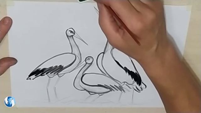 Рисунок акварелью и гелевой ручкой для детей 6-7 лет. Аист дальневосточный. смотреть онлайн