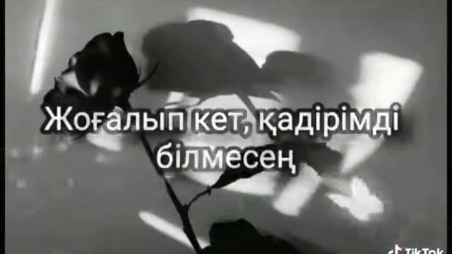 Жоғалып кет? смотреть онлайн