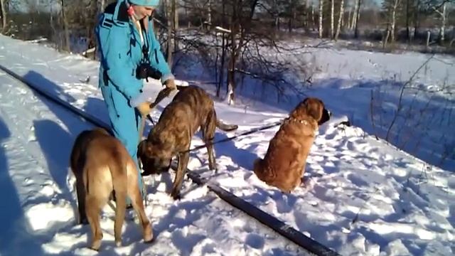 Меделяны 10 мес. смотреть онлайн