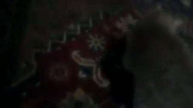 1.01.2011 Год КотоКролика и намурлыкаемся, и натрахаемся;) смотреть онлайн