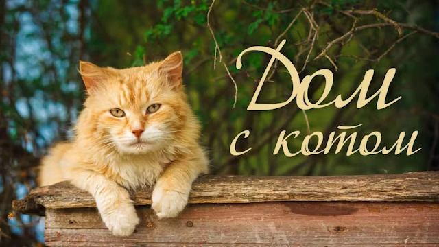 Дом с котом смотреть онлайн