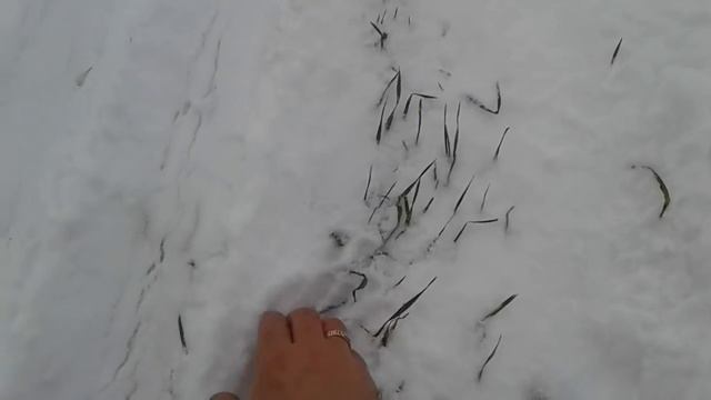 СНЕГОЗАДЕРЖАНИЕ 2018 смотреть онлайн
