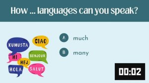 How Much vs. How Many | English Quiz | ESL Beginner Grammar Practice